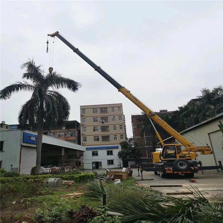 宾阳吊车吊大树几种方法